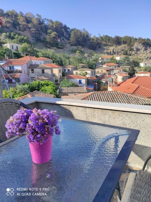 Villa Petroula Kontias المظهر الخارجي الصورة